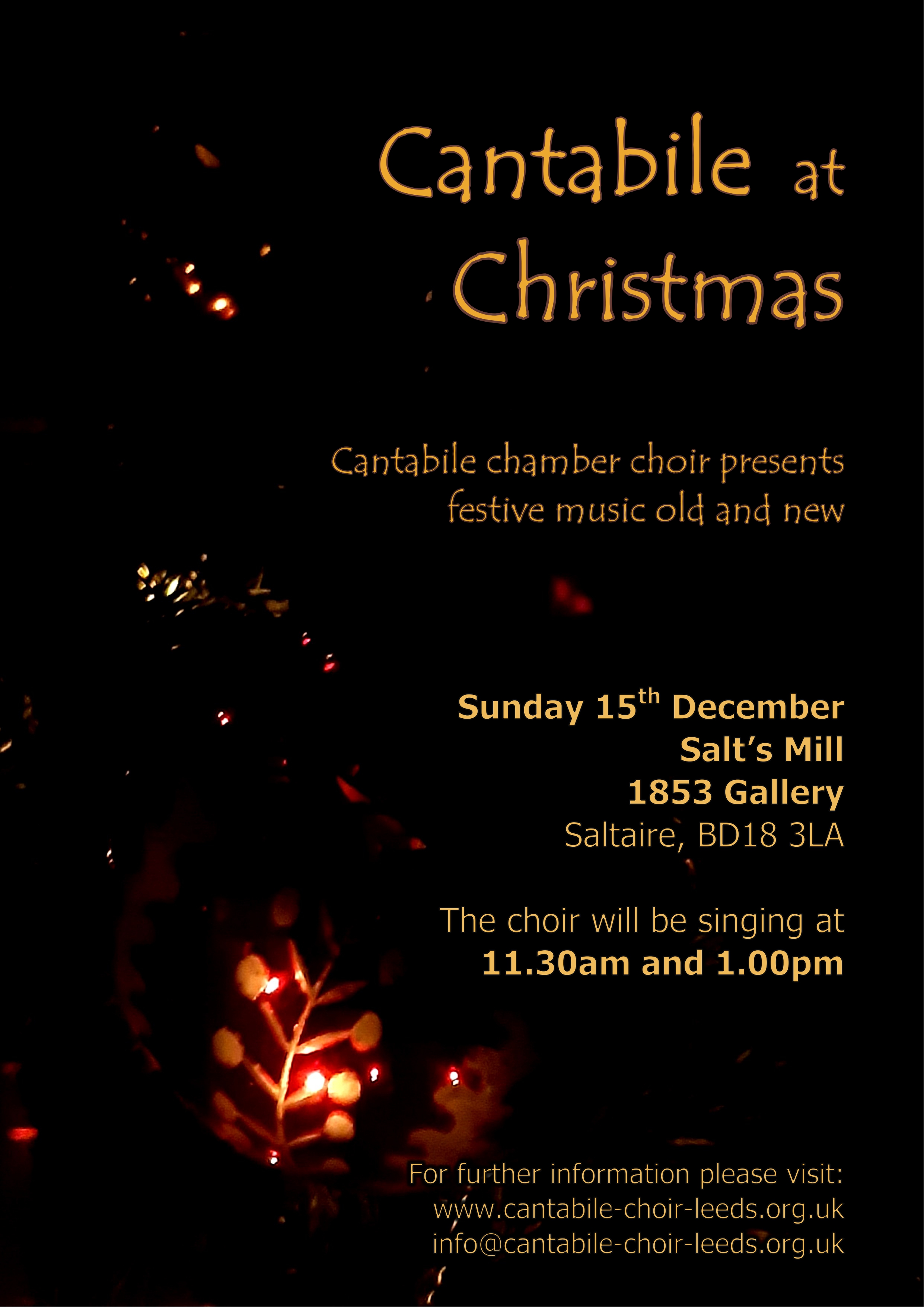 Salts Mill Concert flyer 15th December 2024. Dark background
  with lit up leaves and christmas tree lights.